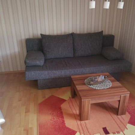 Ferienwohnung Am Aschberg Klingenthal Ngoại thất bức ảnh